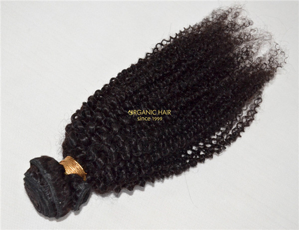 Afro kinky curly real 100 human hair extensions